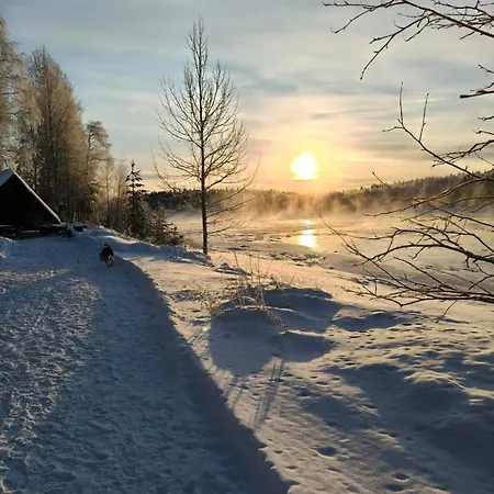 Log On The Riverbank