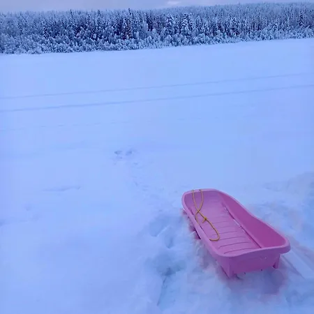 Log On The Riverbank Rovaniemi