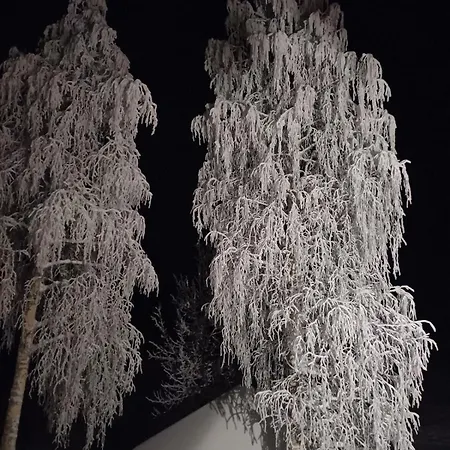 Chalet Log On The Riverbank *